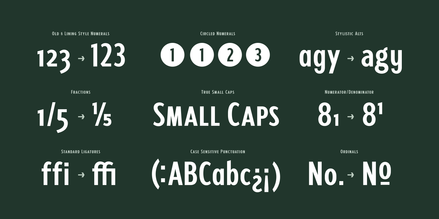 Fellbaum Grotesk
